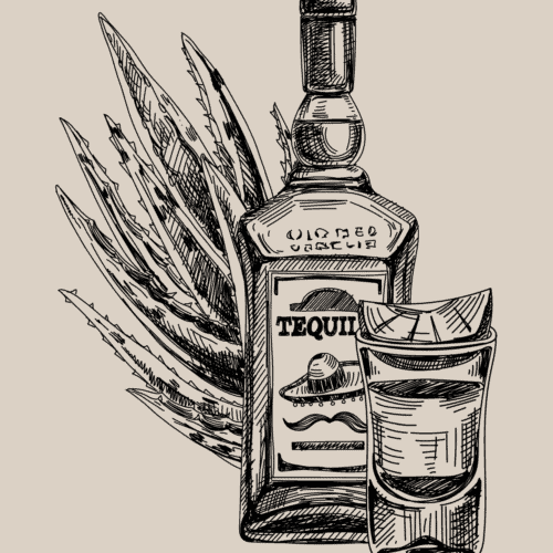 tequila bottle and tequila shot