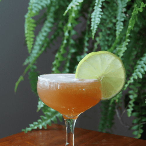 Daiquiri