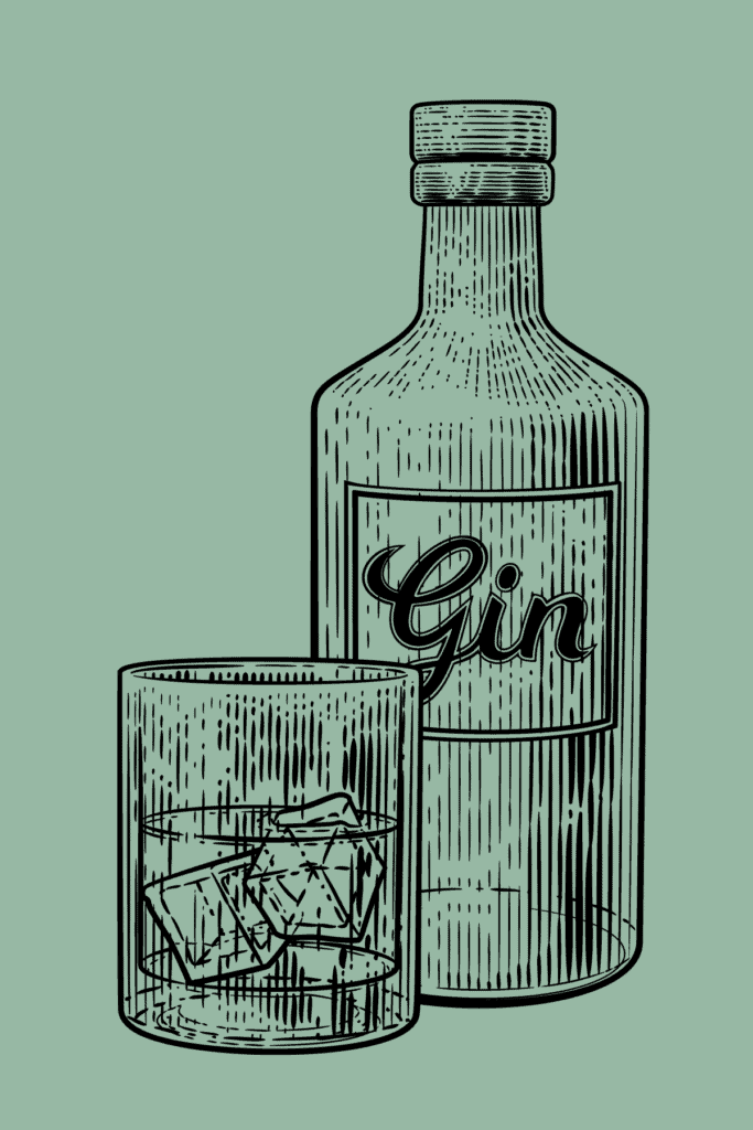 gin for drinks