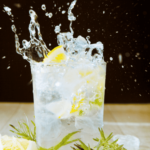 gin-and-tonic