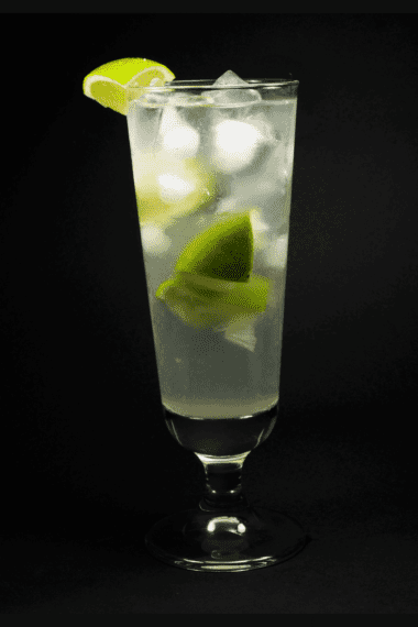 gin rickey