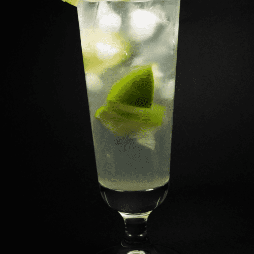 gin rickey