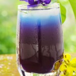 butterfly pea flower gin mule