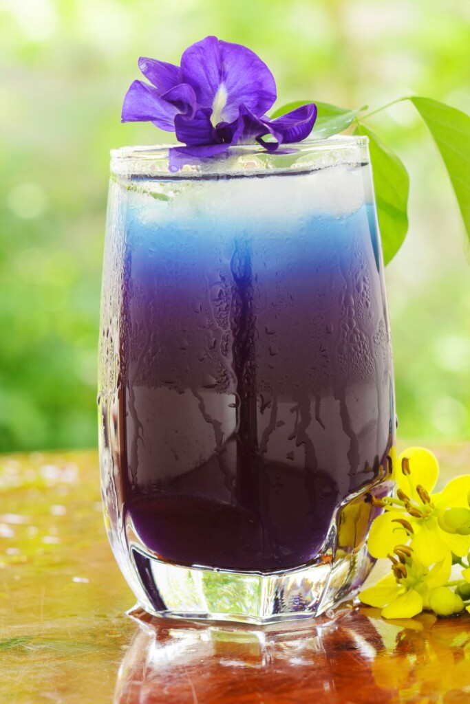 butterfly pea flower gin mule