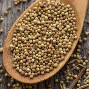 coriander