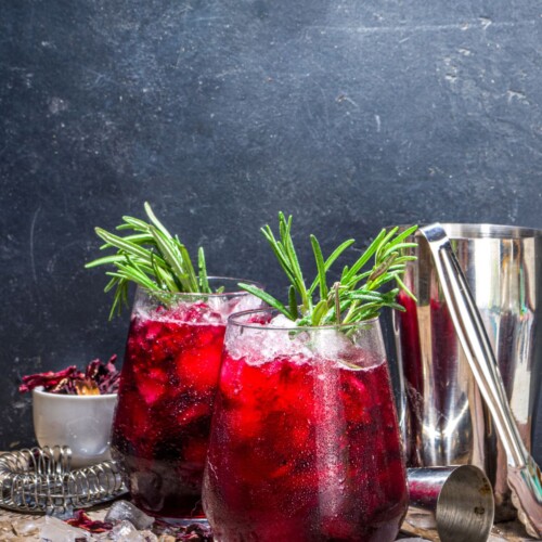 hibiscus gin sour